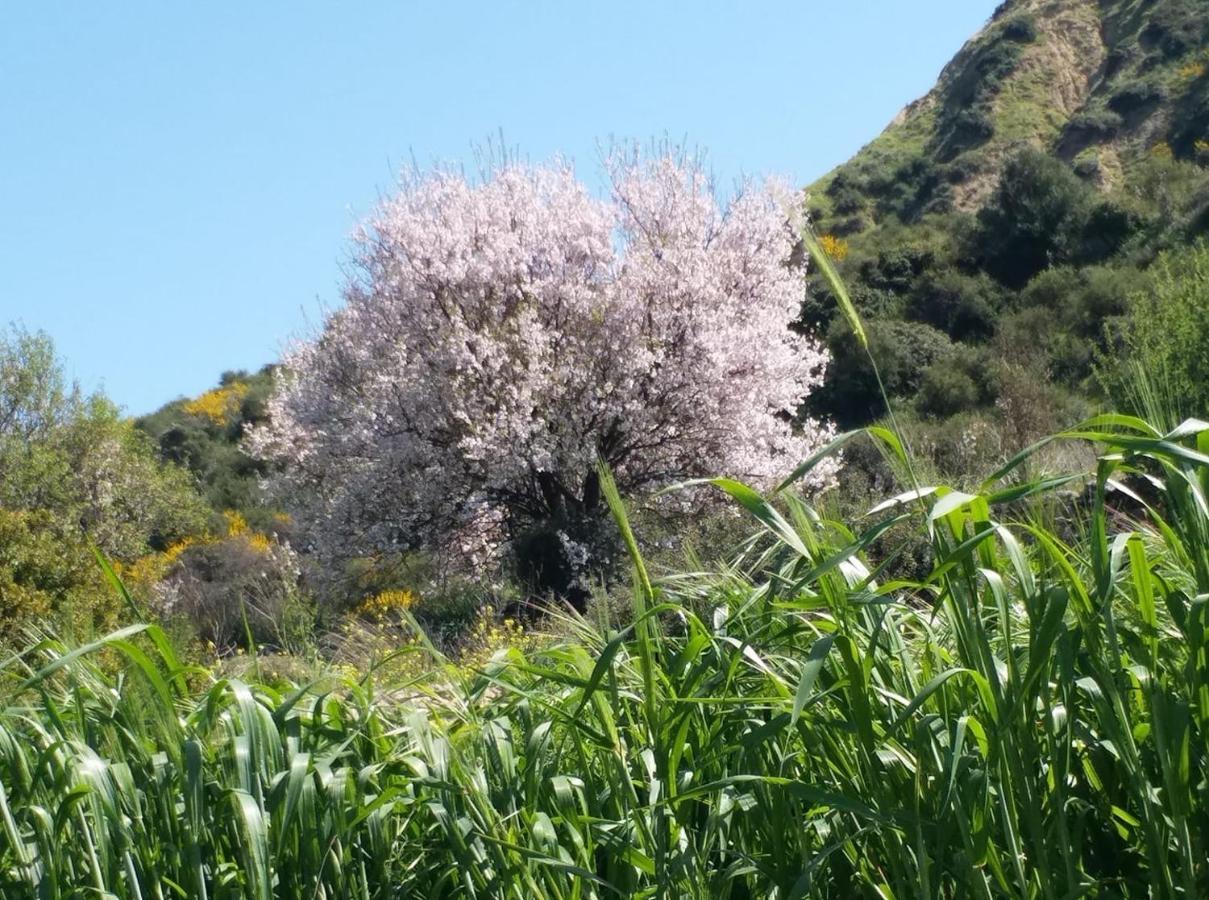 Maria Villa Pissouri Exteriér fotografie